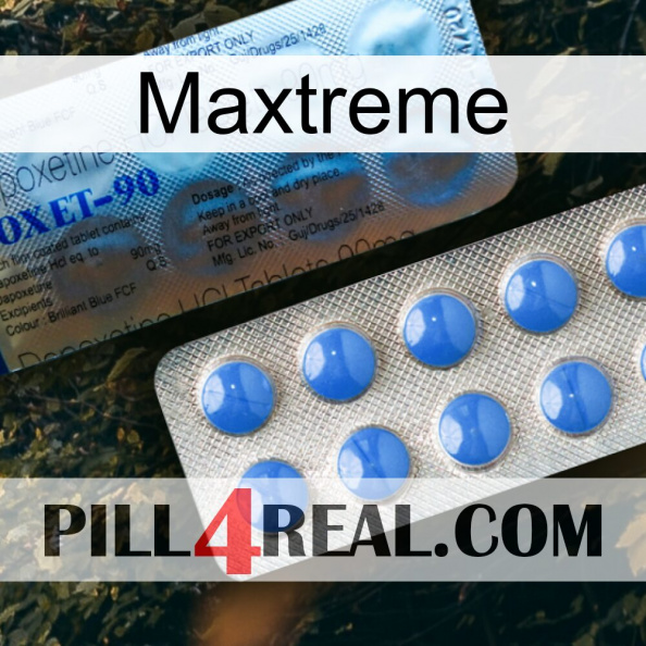 Maxtreme 40.jpg